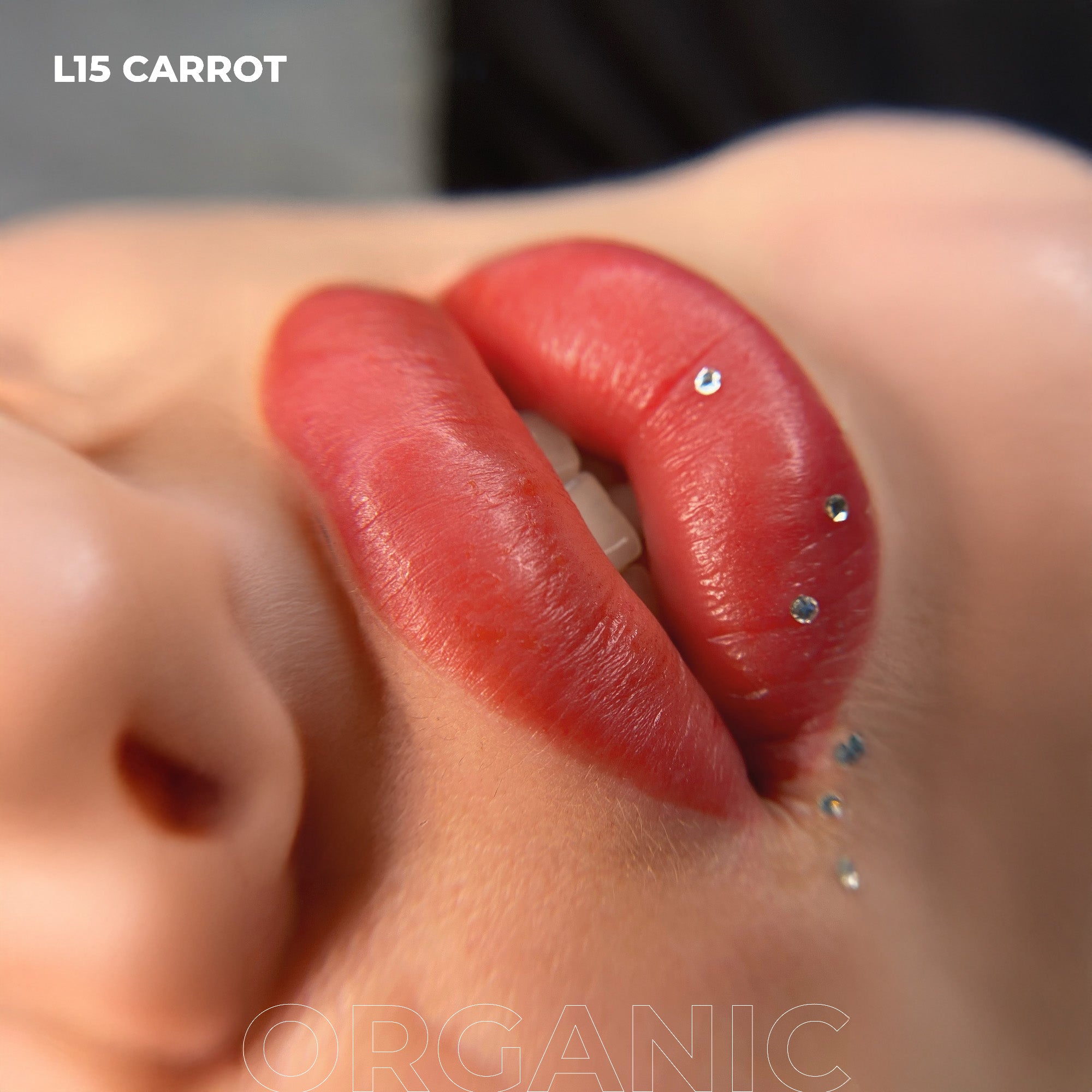 AS Pigments - OPIUM COLORS - L15 CARROT ORGANIC lip pigment - mrpmu