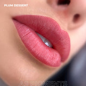 AS Pigments - PLUM DESSERT Lip Pigment - mrpmu