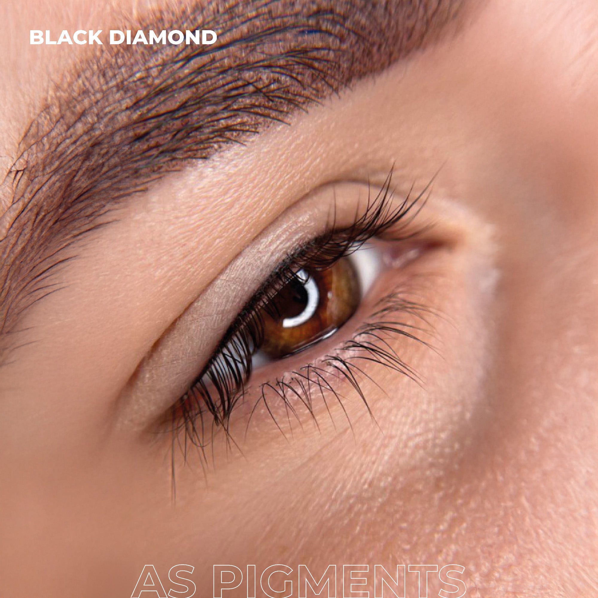 AS Pigments - BLACK DIAMOND Lidpigment - mrpmu