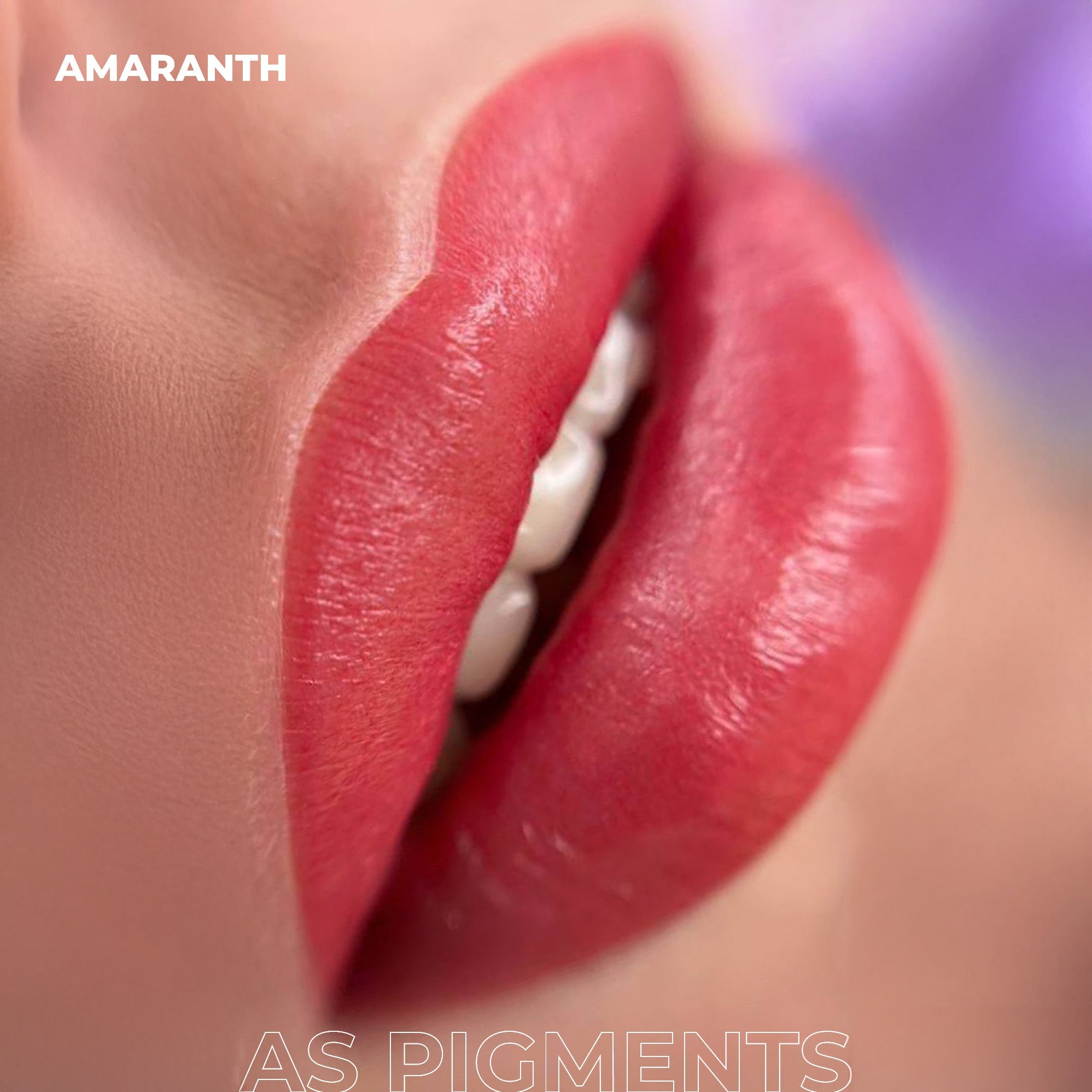 AS Pigments - Konzentriertes AMARANTH Lip Pigment - mrpmu