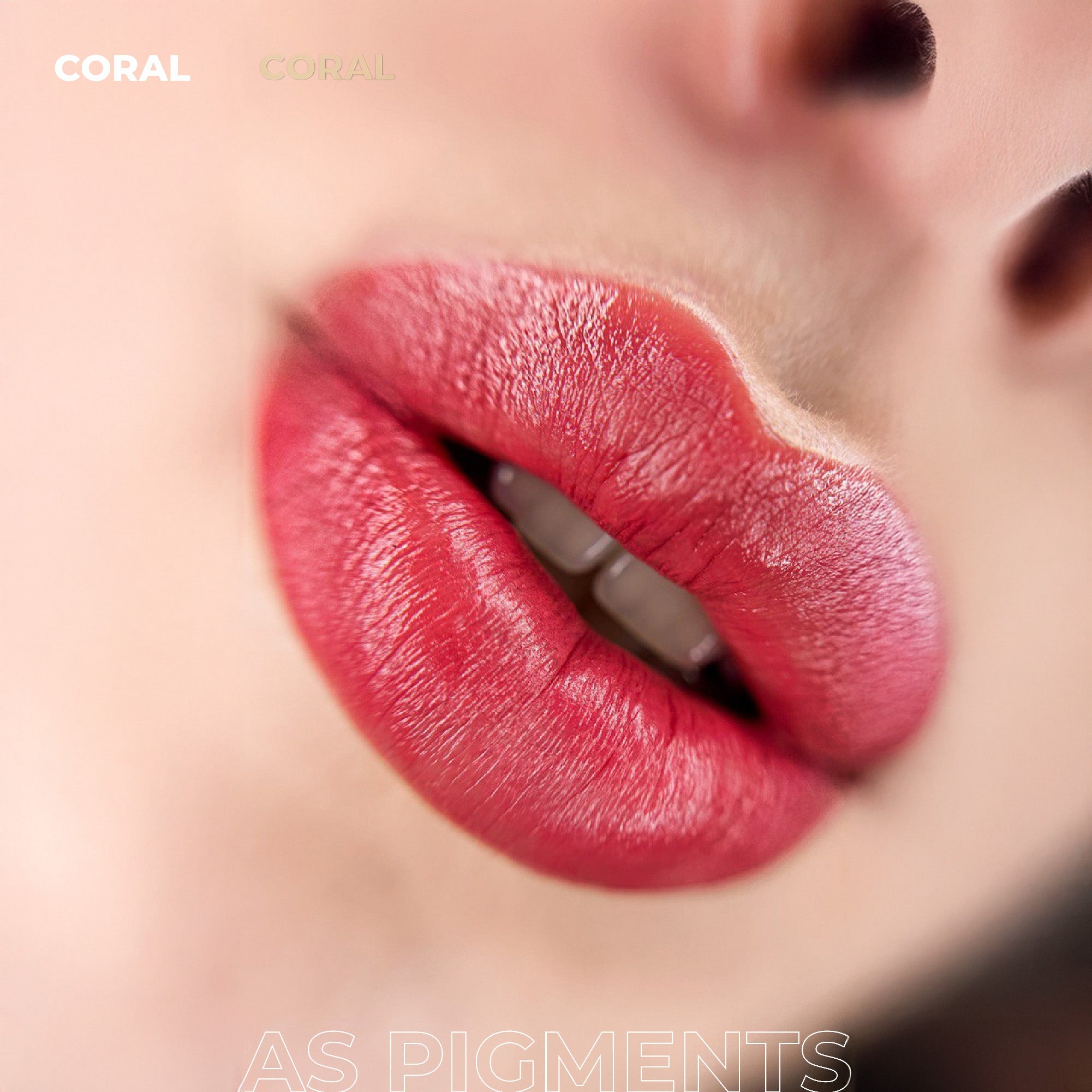 AS Pigments - Konzentriertes CORAL Lip Pigment - mrpmu