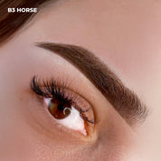 AS Pigments - OPIUM COLORS B3 HORSE Augenbrauenpigment - mrpmu