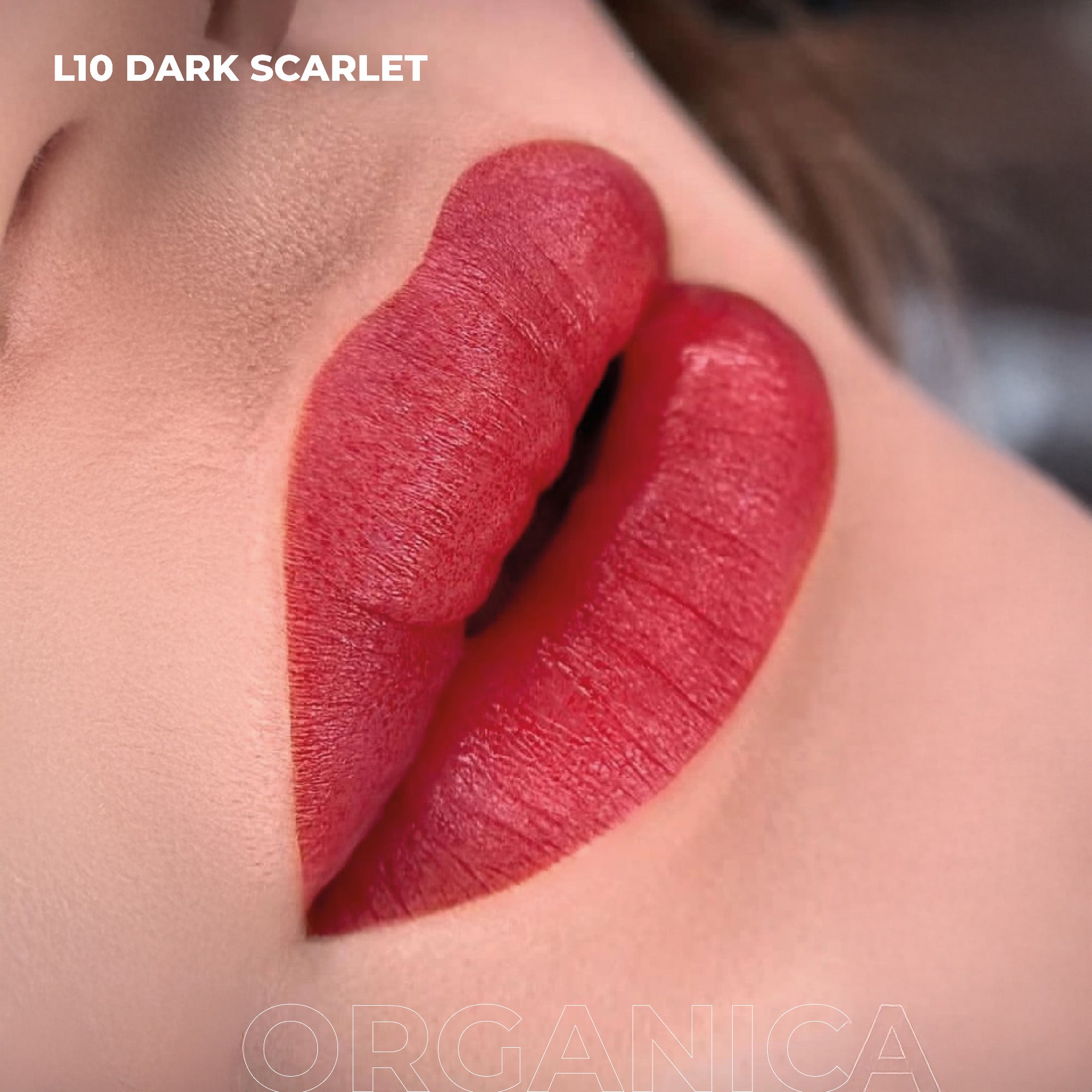 AS Pigments - OPIUM COLORS L10 DARK SCARLET ORGANIC Lippenpigment - mrpmu