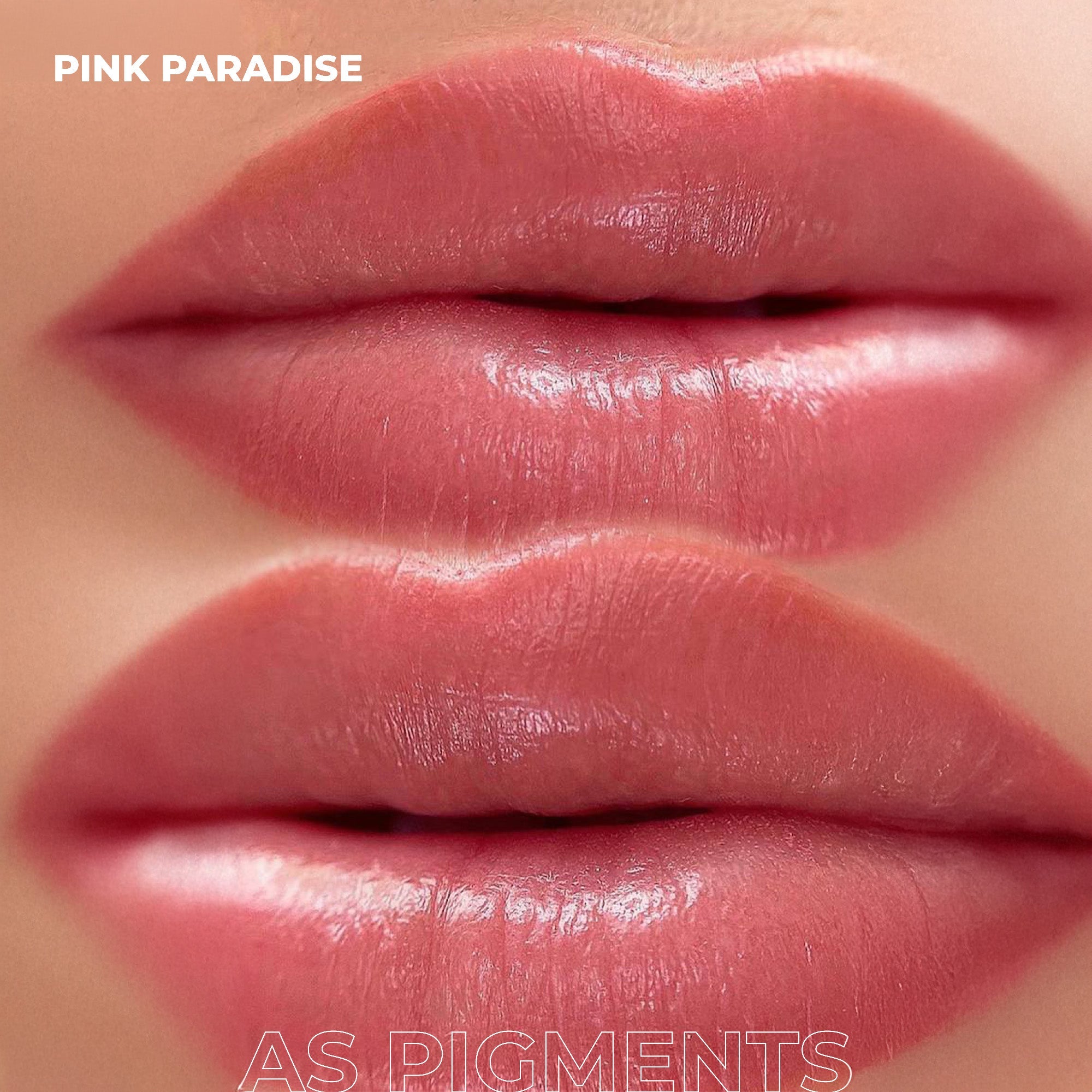 AS Pigments - PINK PARADISE Lippenpigment - mrpmu