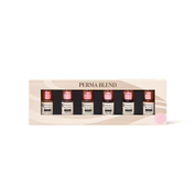 Perma Blend Luxe PMU Ink - Ready Set Go Pre - Modified Set - 6x15ml - mrpmu