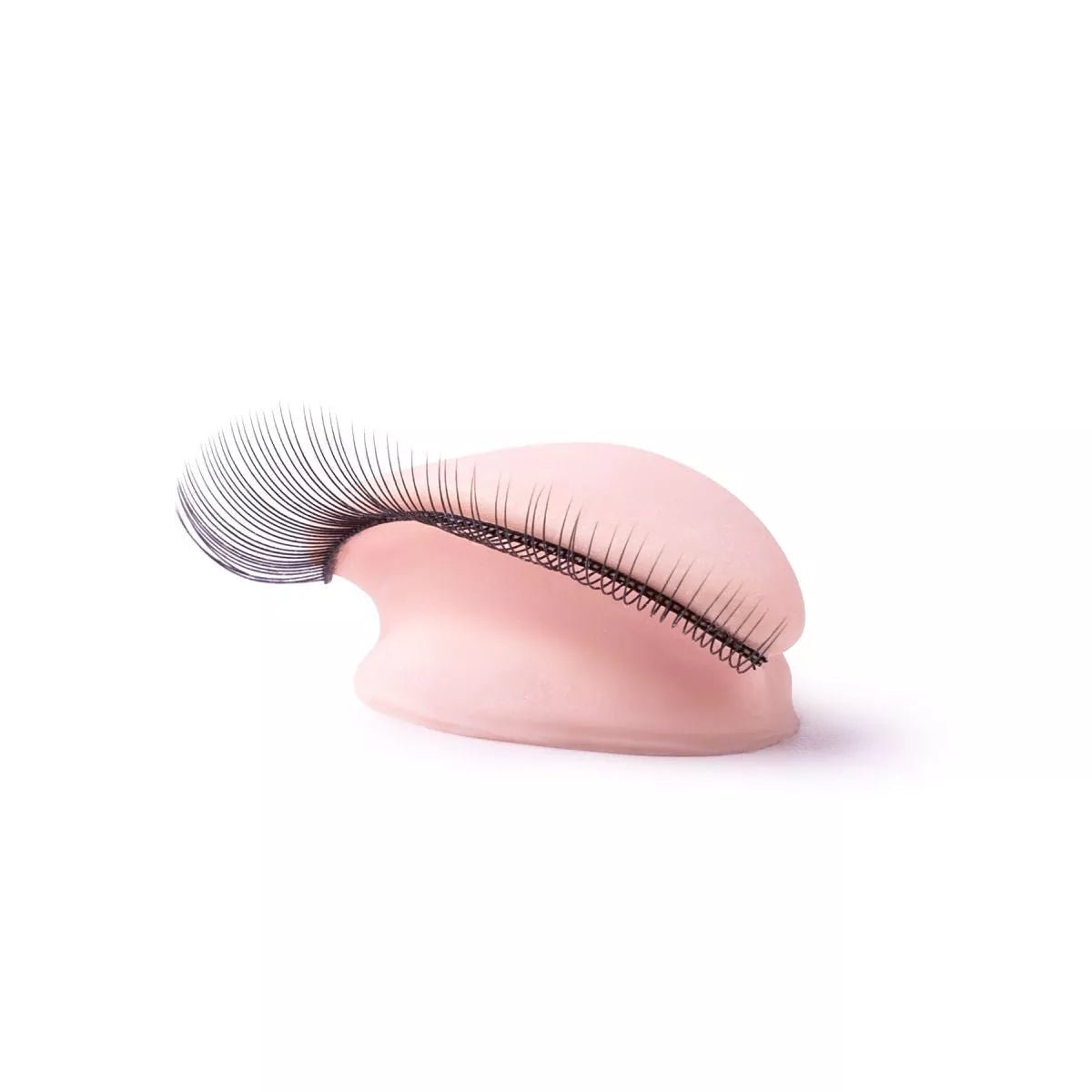 PhiLashes Head and Eyes - Mr.PMU